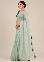 Woman wearing a light green saree with a plain background