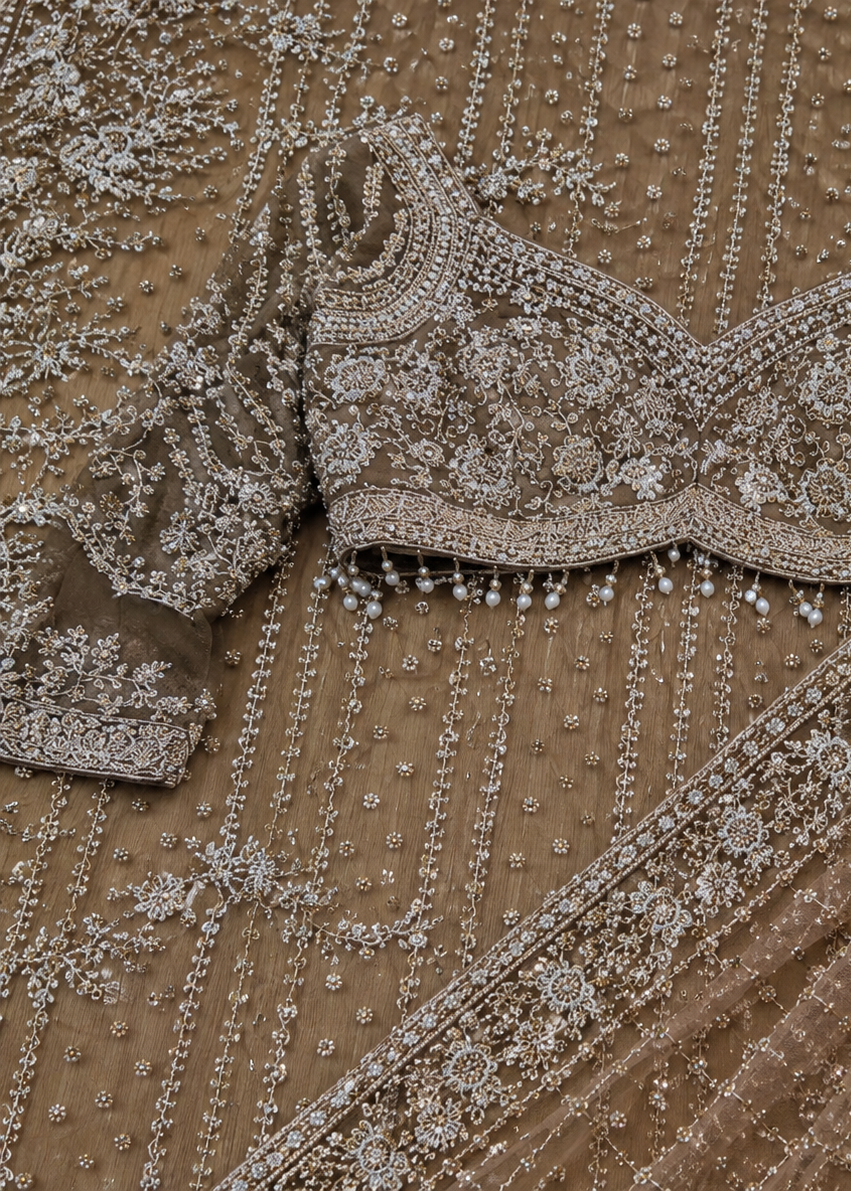 Champagne Beige Silver Zari, Stone, Sequin & Pearl Embroidered Net Saree with Heavy Blouse