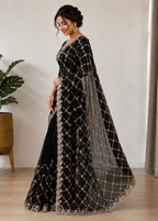 Black Fande Organza Saree with Allover Handwork Katdana & Sequence Work